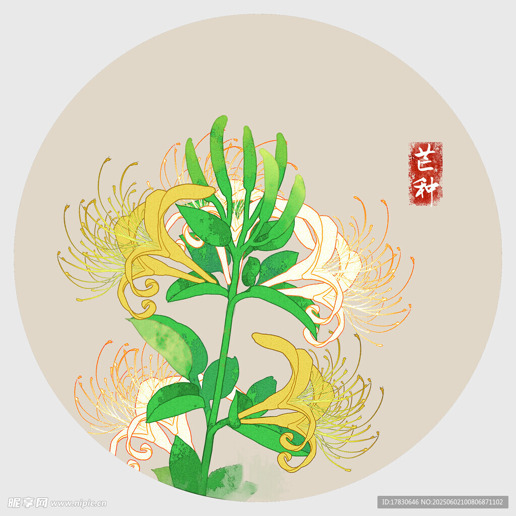 芒种