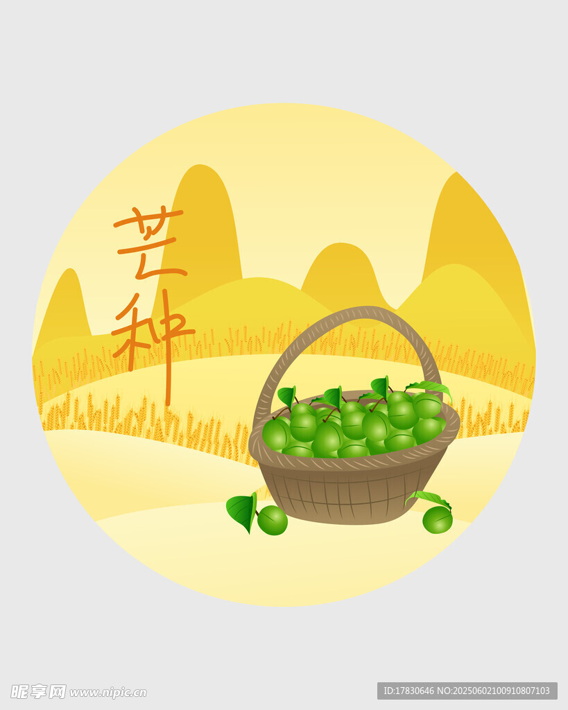 芒种