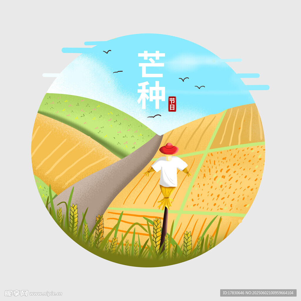 芒种