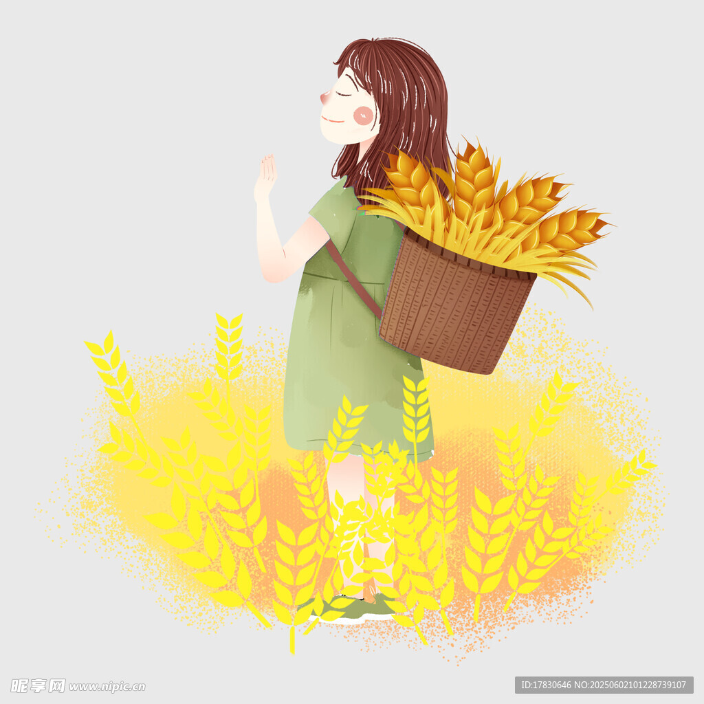 芒种