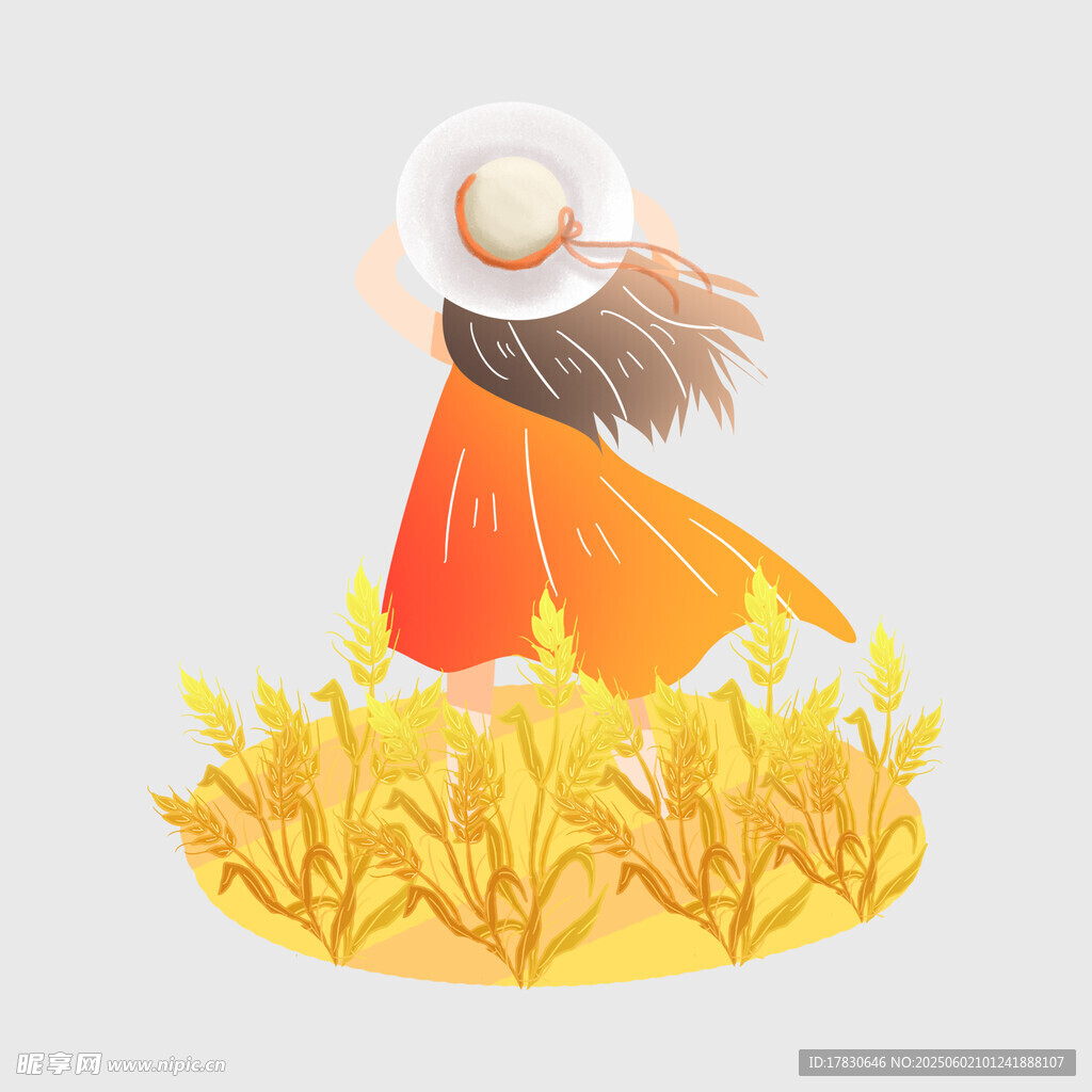 芒种