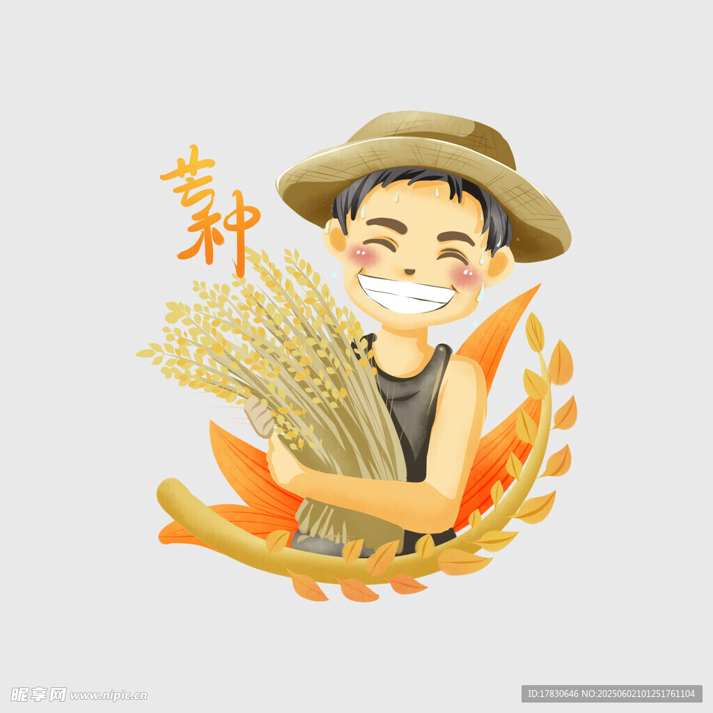 芒种