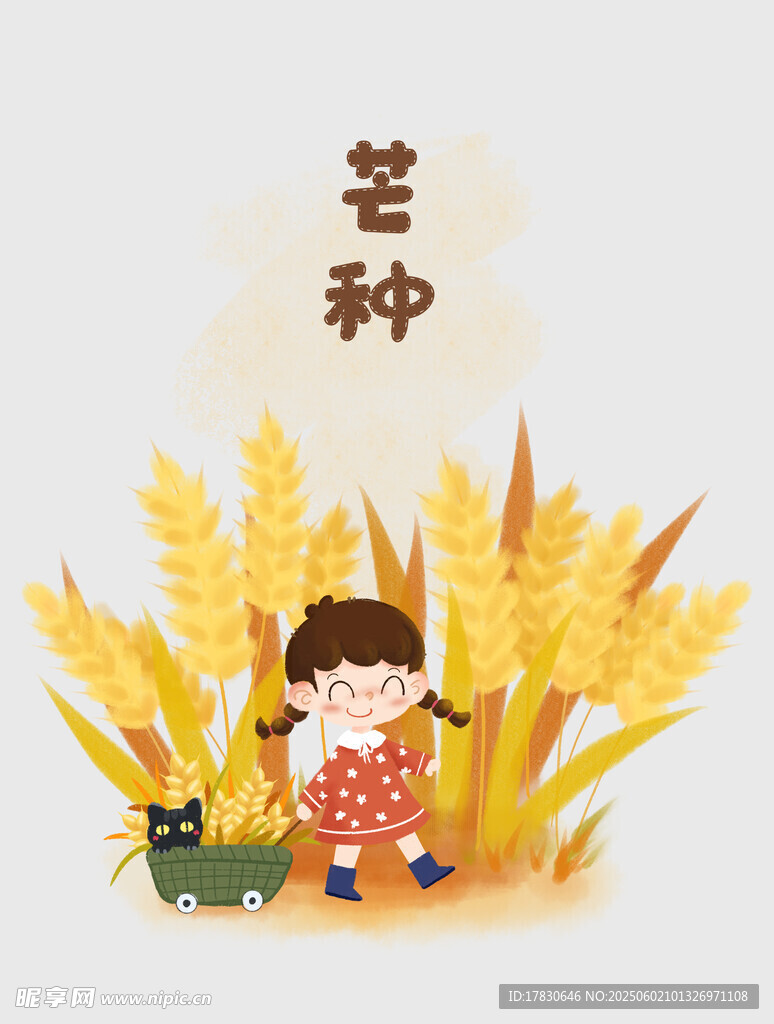 芒种