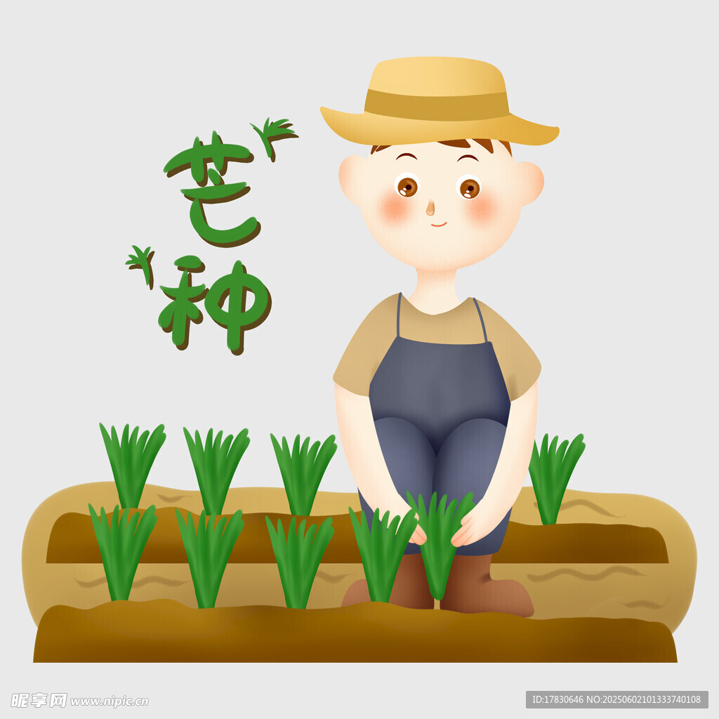 芒种