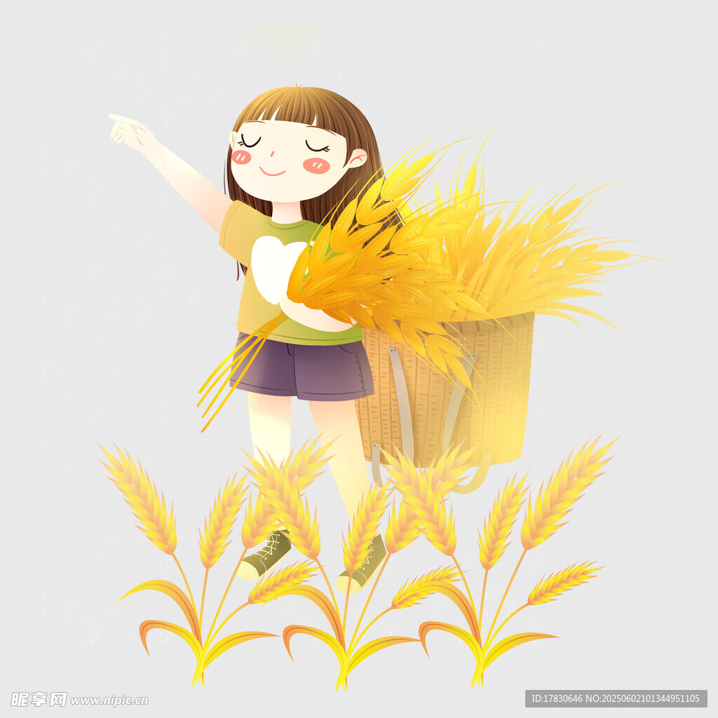 芒种