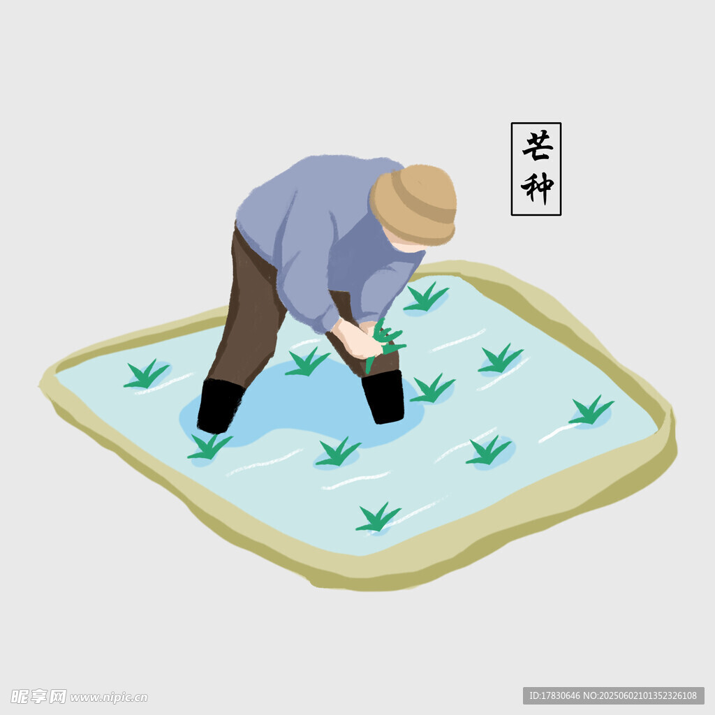 芒种
