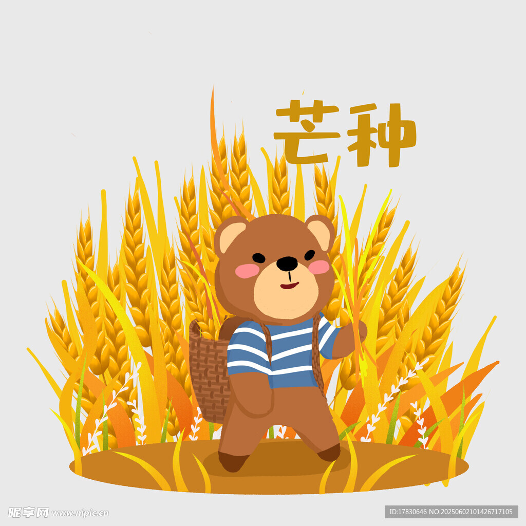 芒种