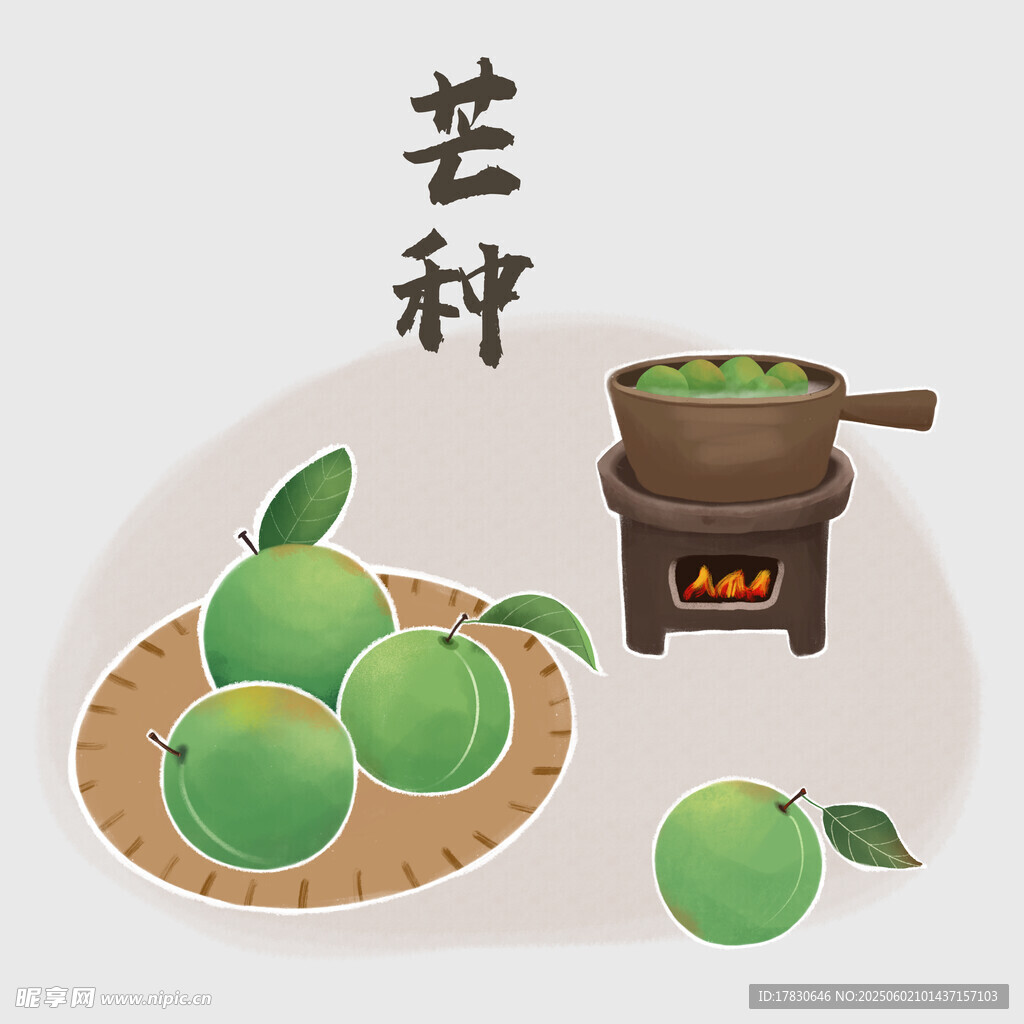 芒种