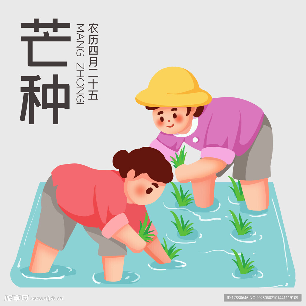 芒种