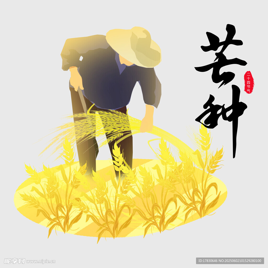 芒种