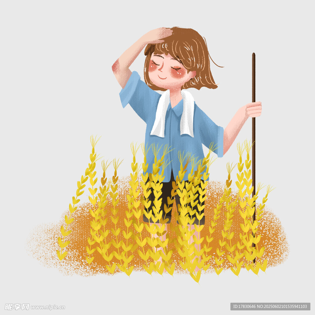 芒种