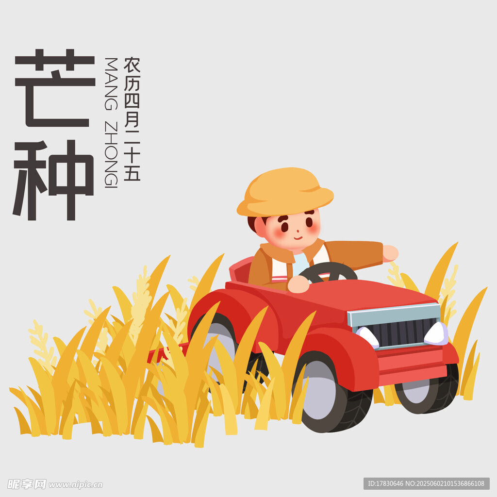 芒种