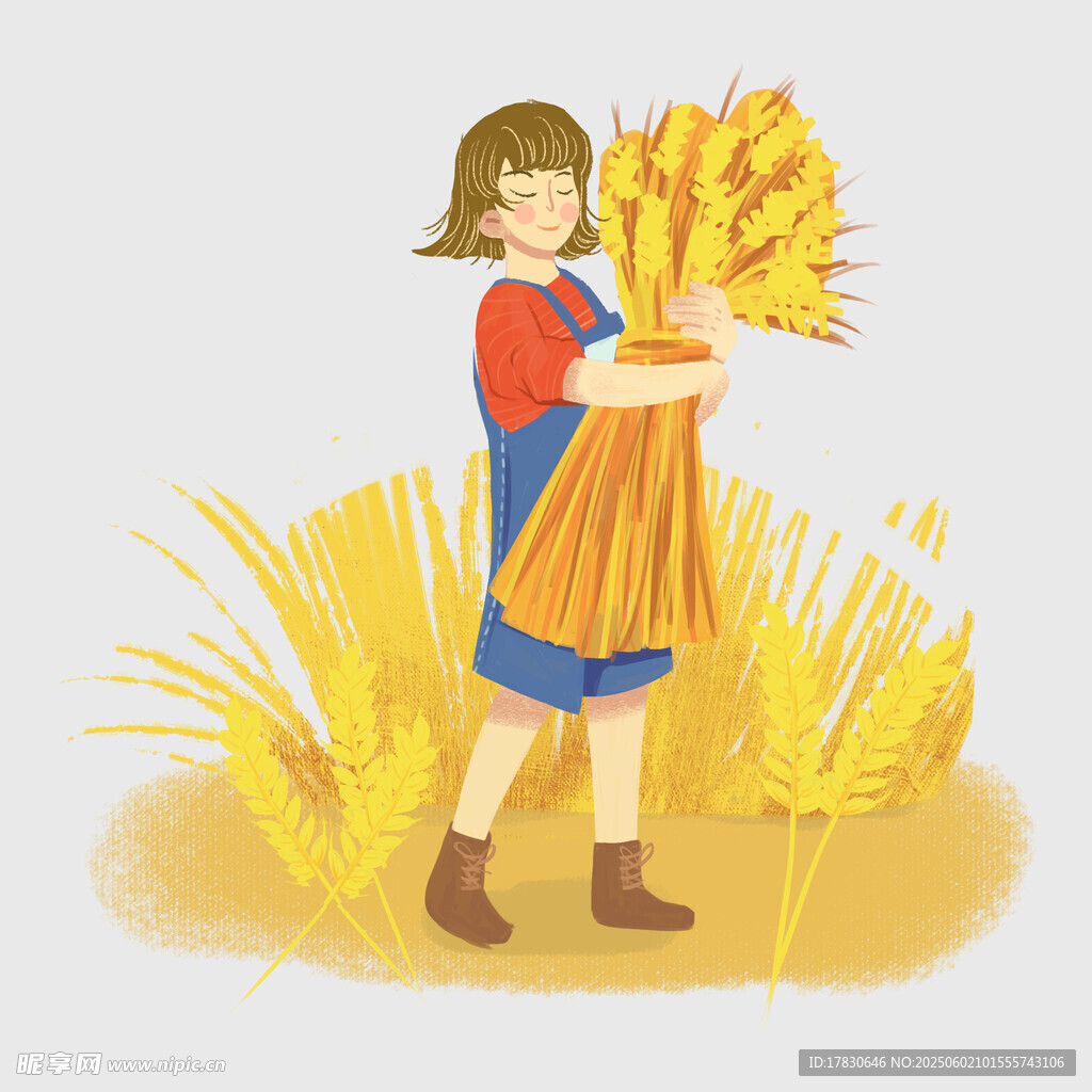 芒种