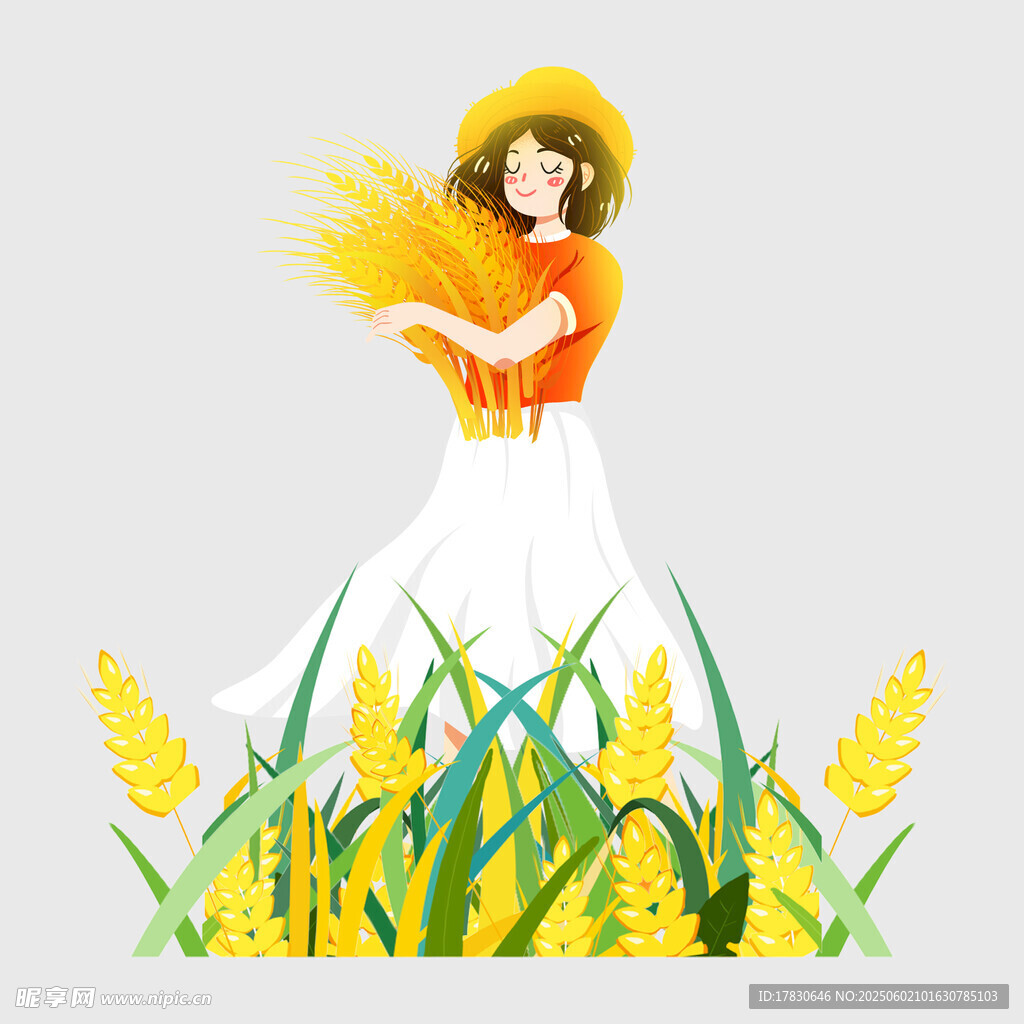 芒种