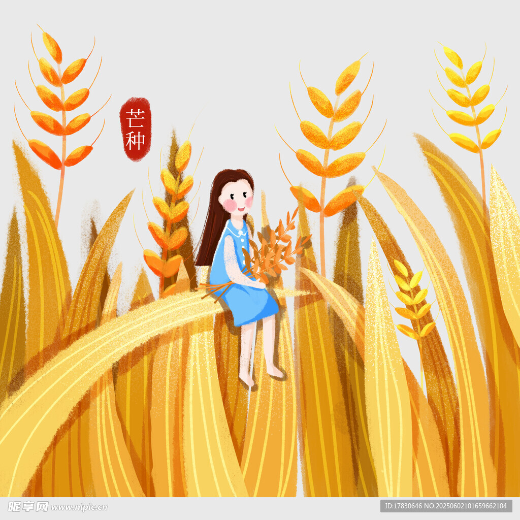 芒种