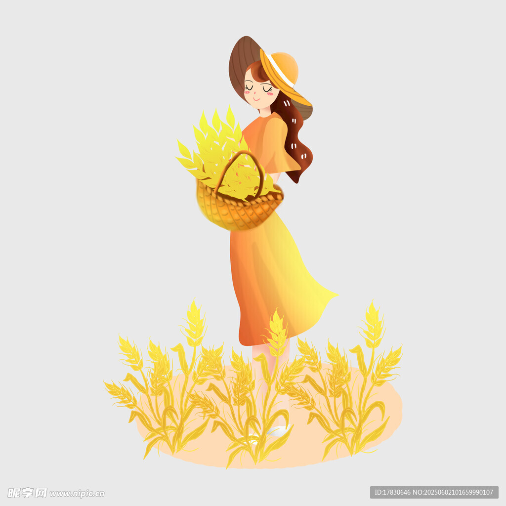 芒种