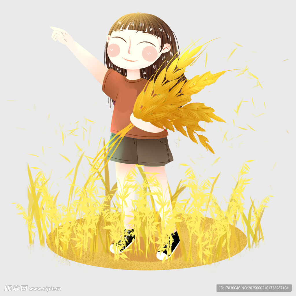 芒种