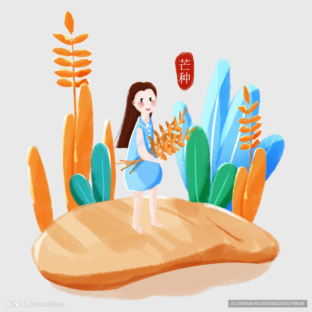 芒种