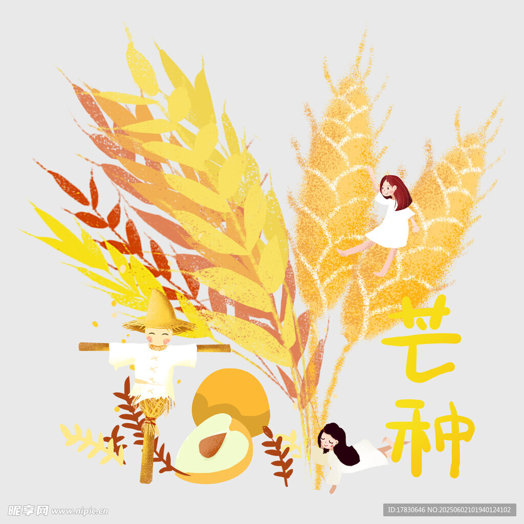 芒种