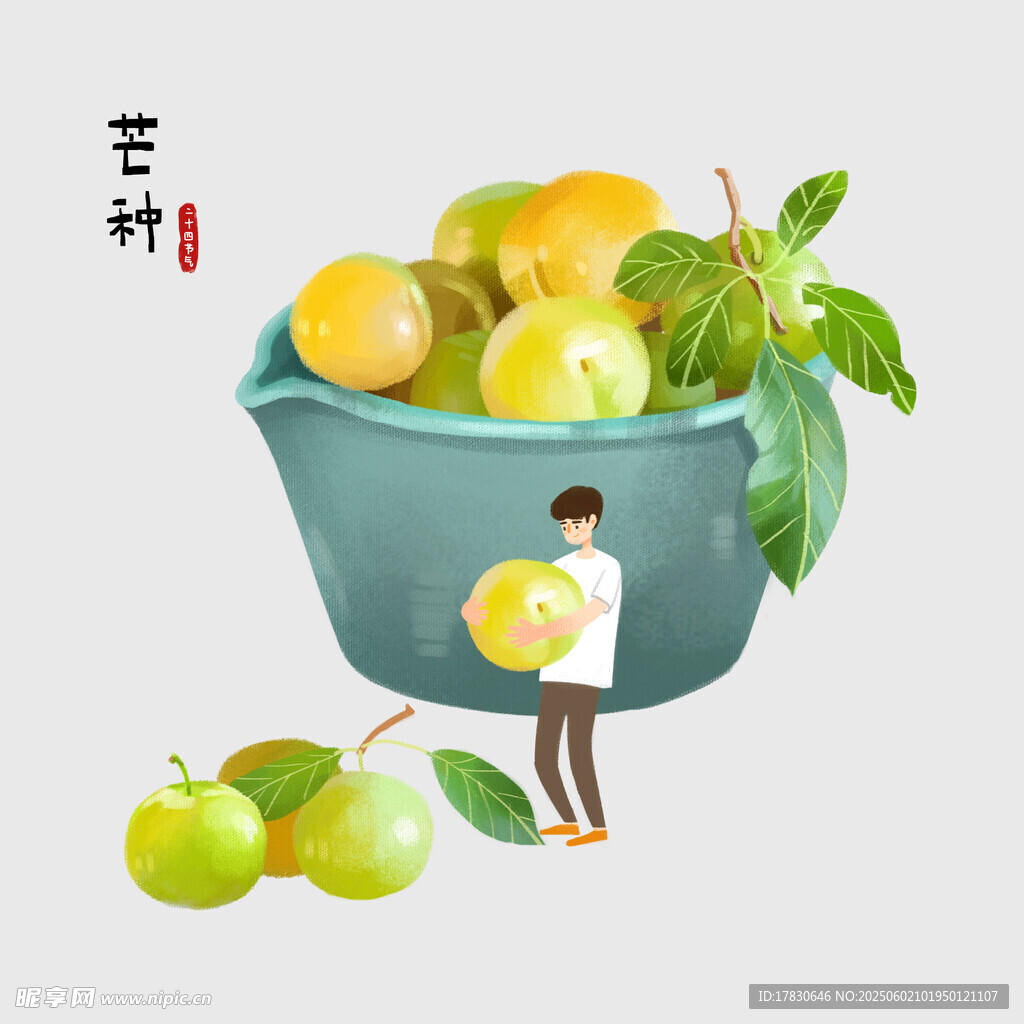 芒种