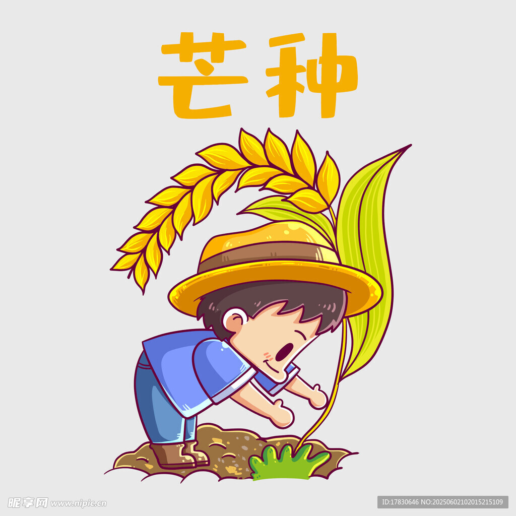 芒种
