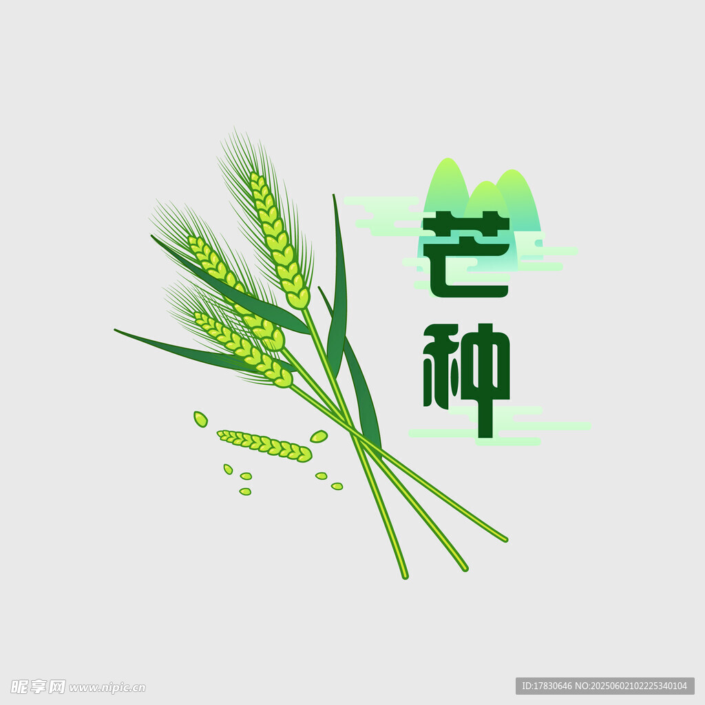 芒种