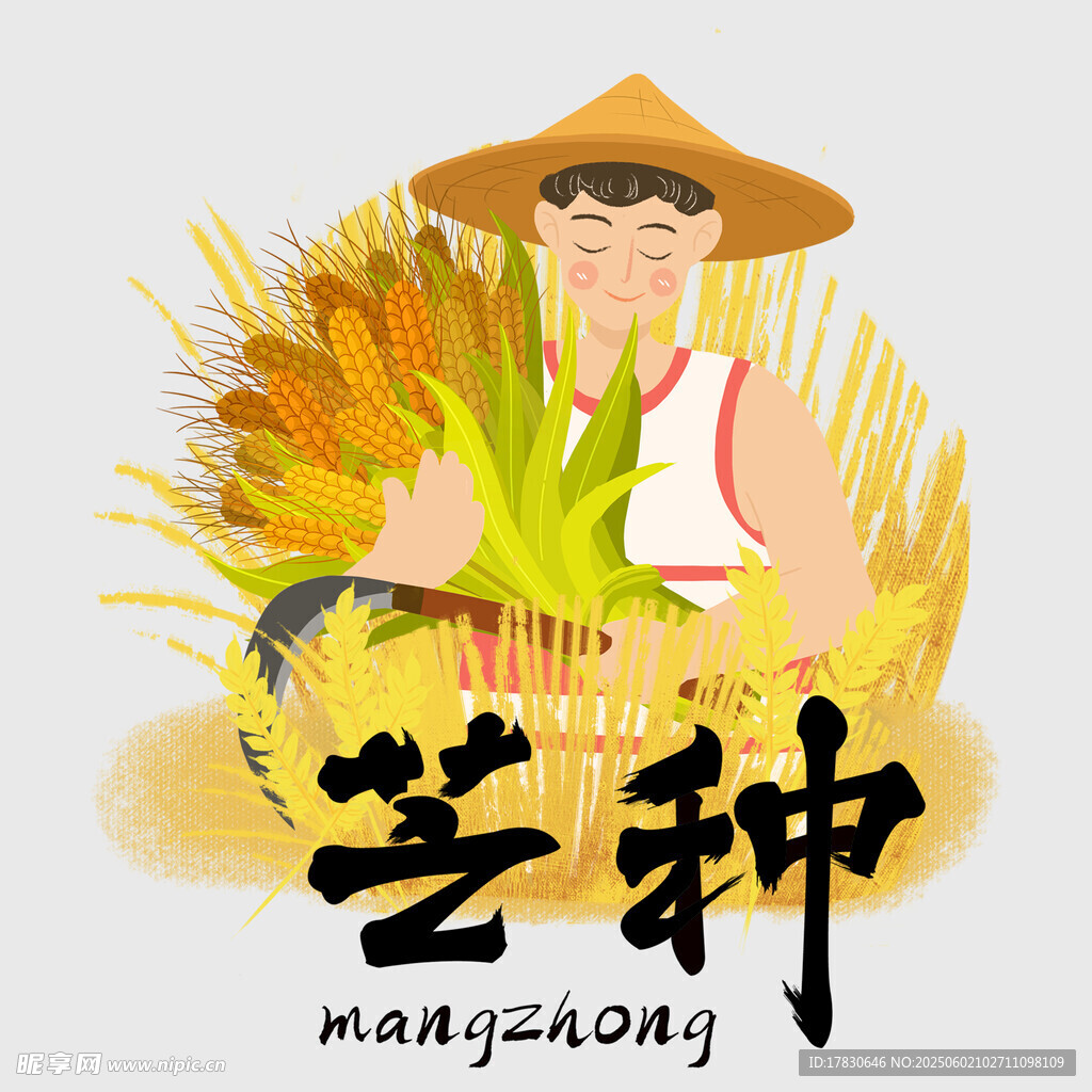 芒种