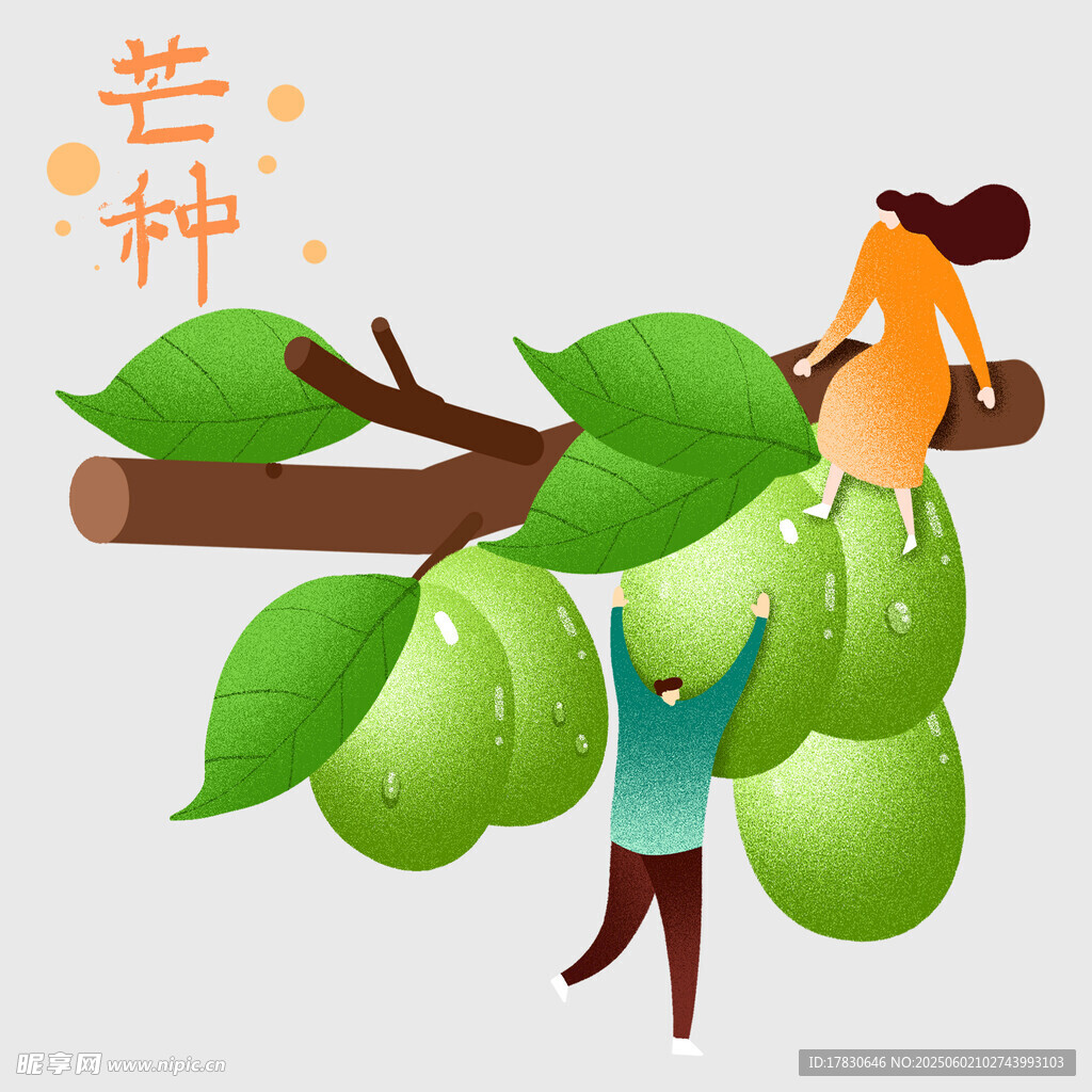 芒种