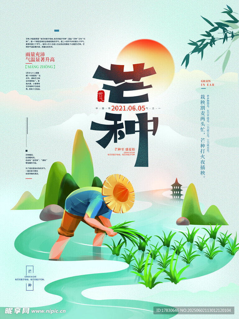 芒种海报