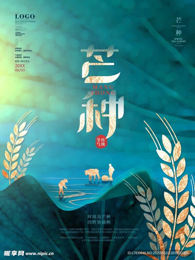 芒种海报