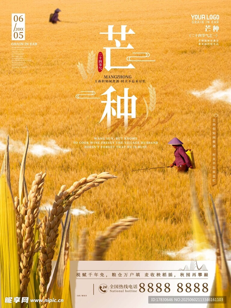 芒种海报