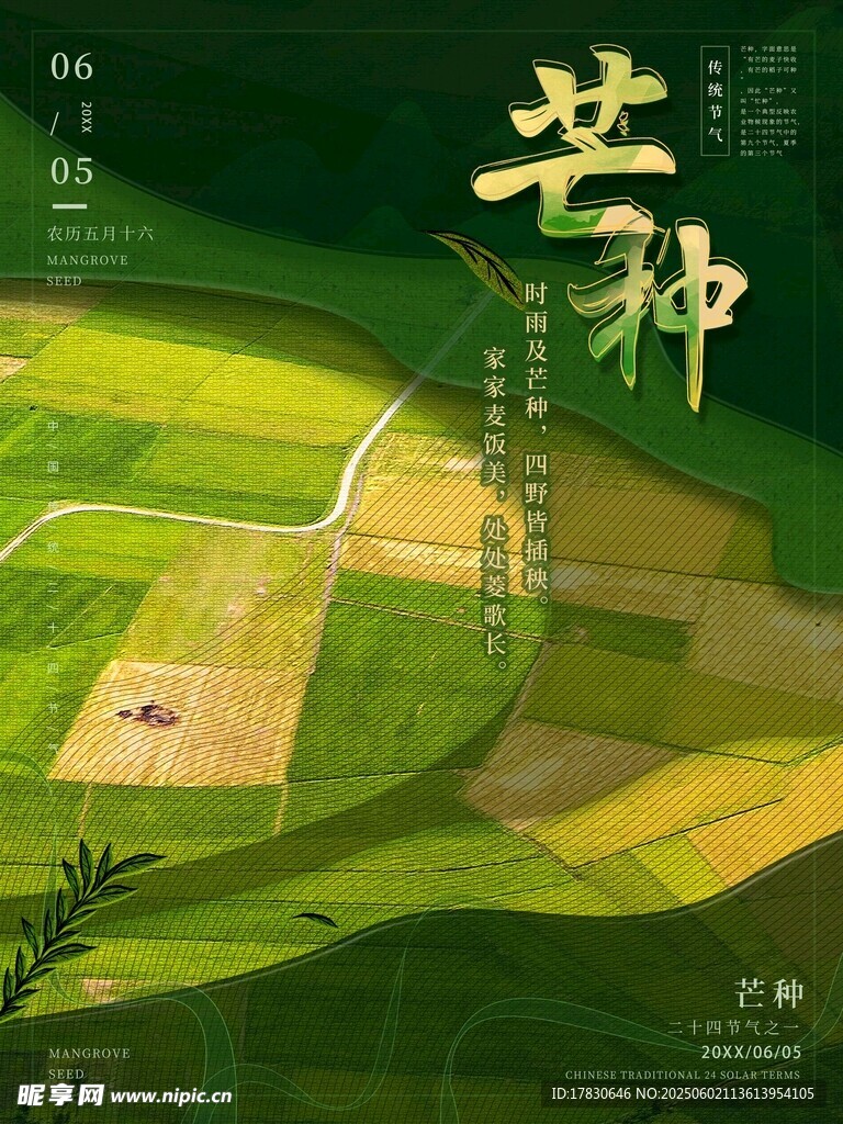 芒种海报