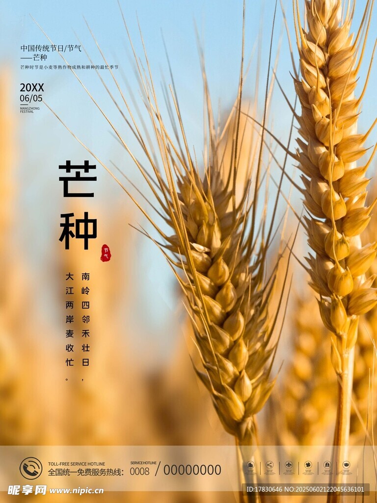 芒种海报
