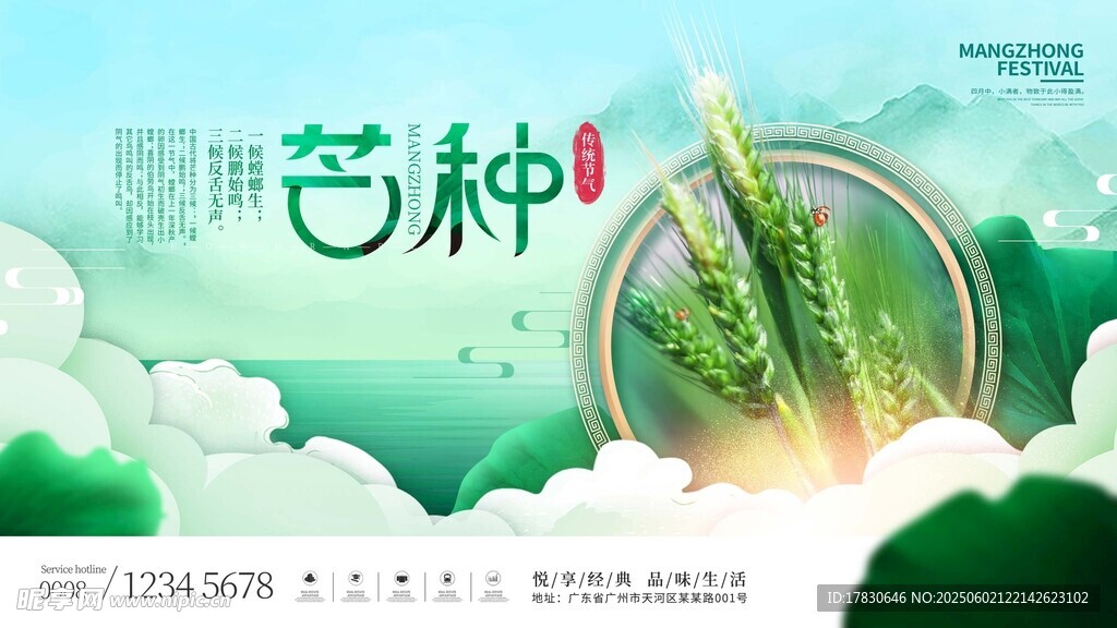 芒种海报