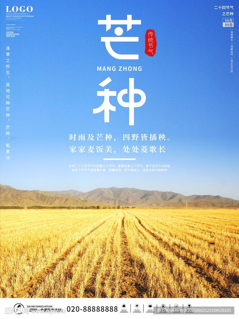 芒种海报