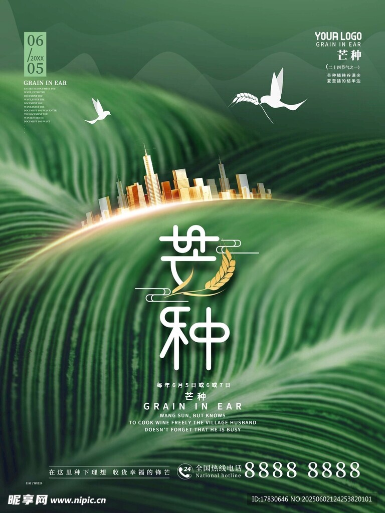 芒种海报