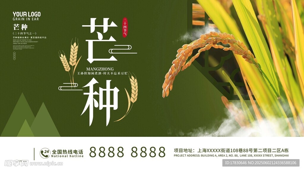 芒种海报
