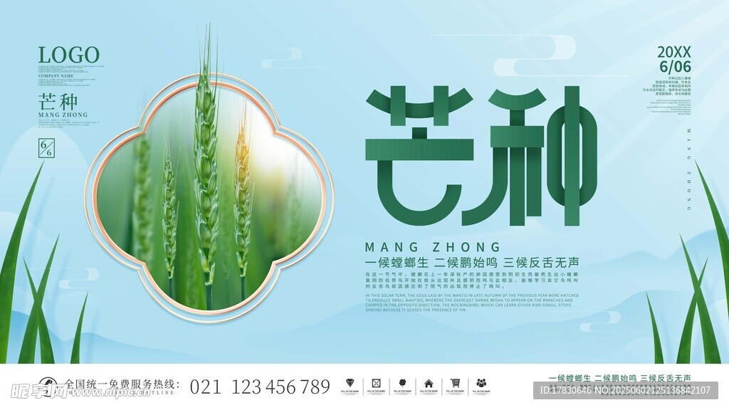 芒种海报