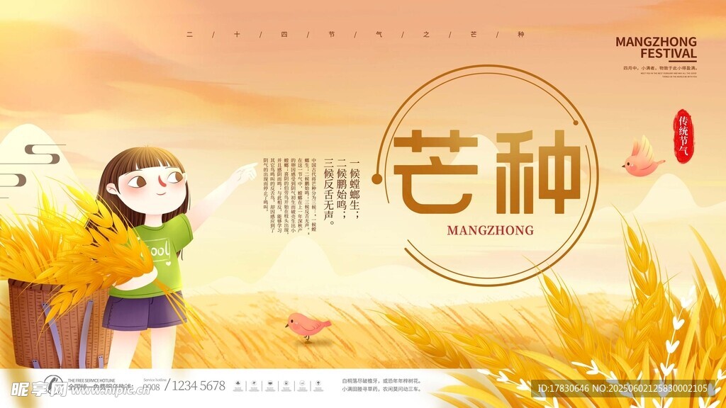 芒种海报