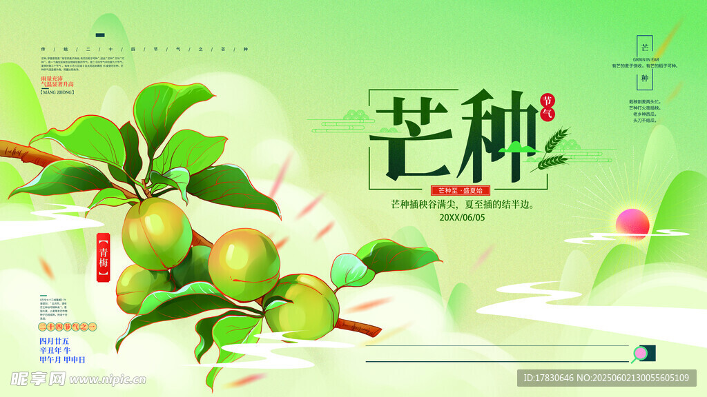 芒种海报