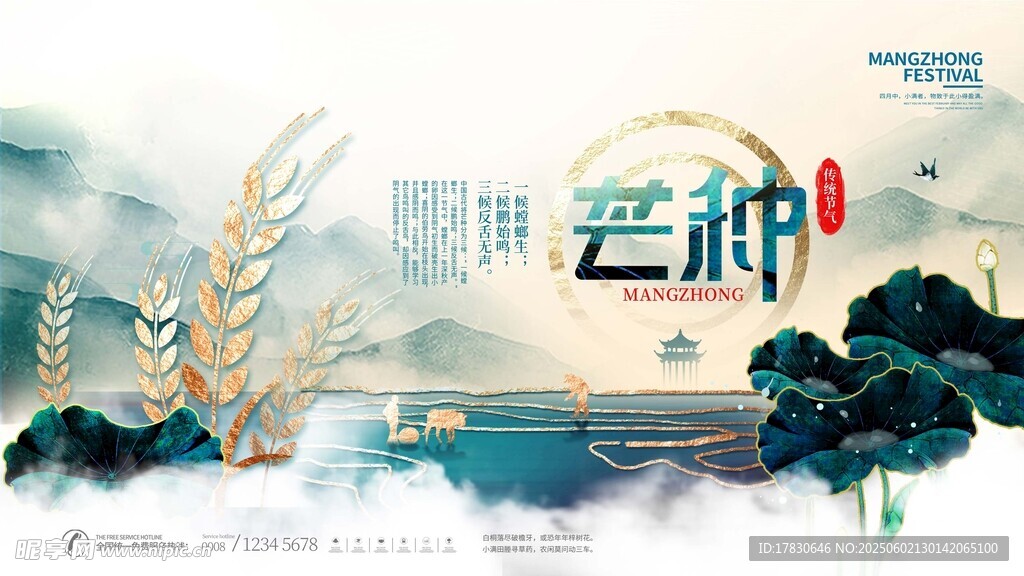 芒种海报