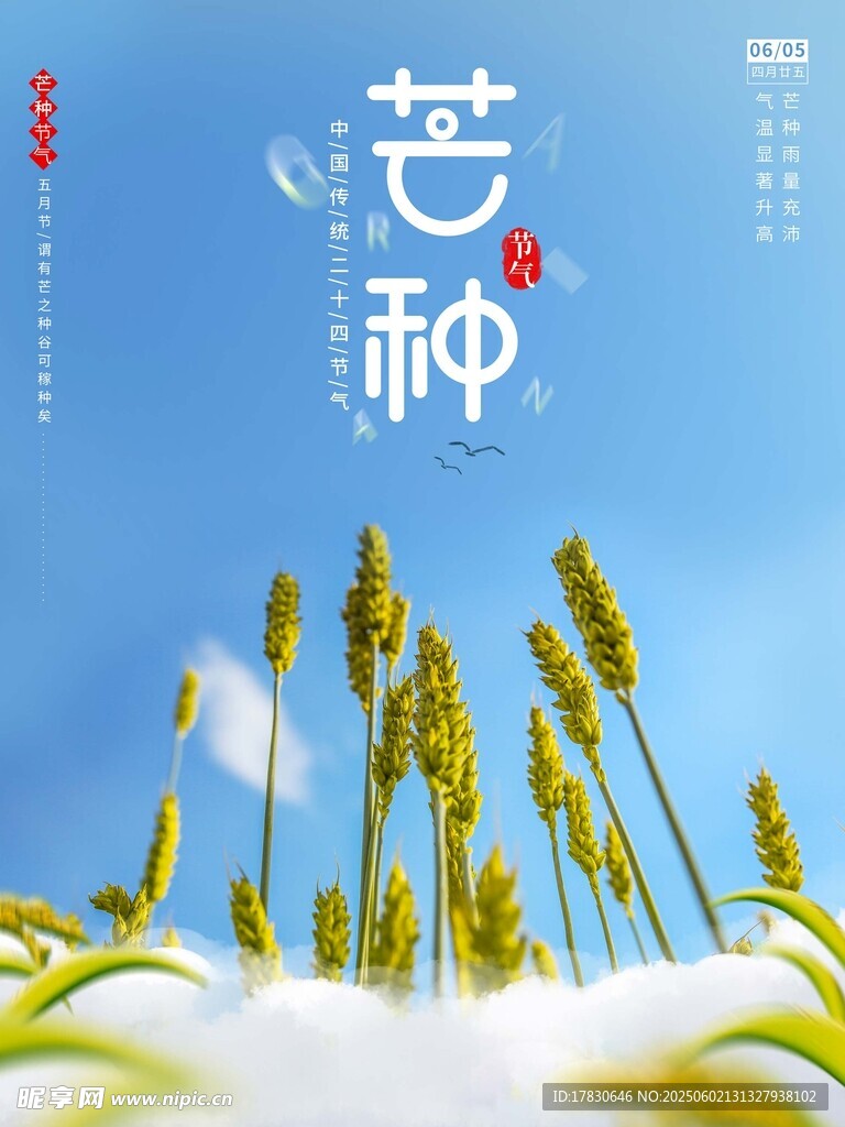 芒种海报