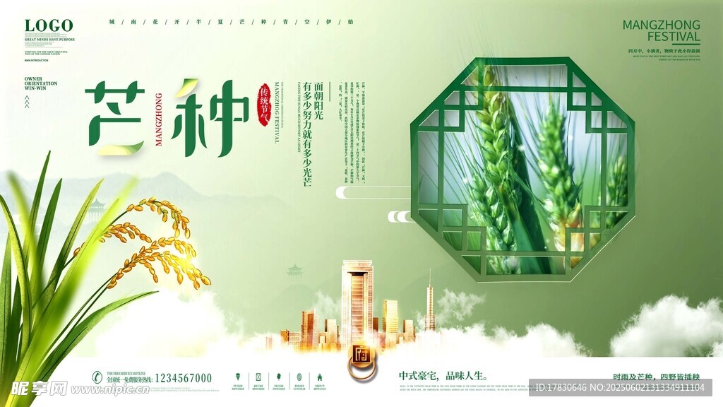 芒种海报