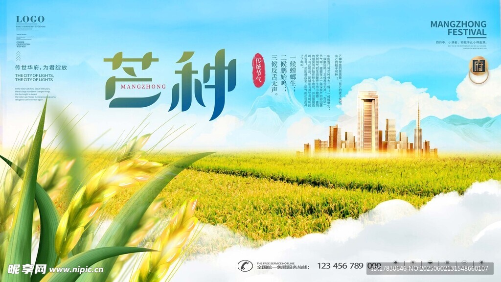 芒种海报