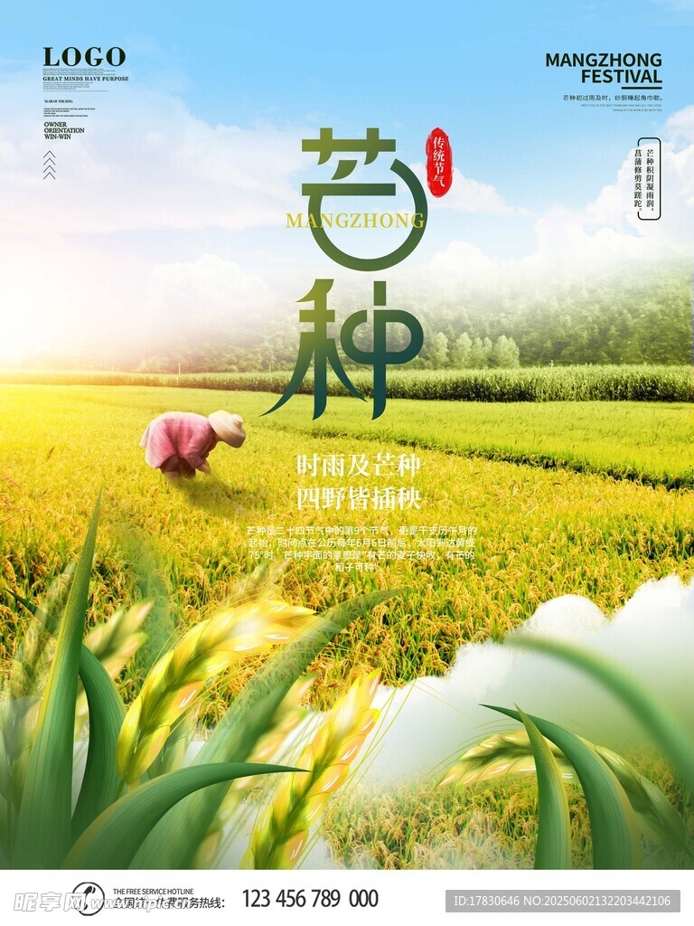 芒种海报