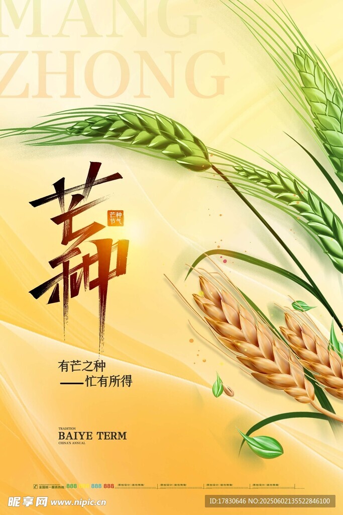 芒种海报