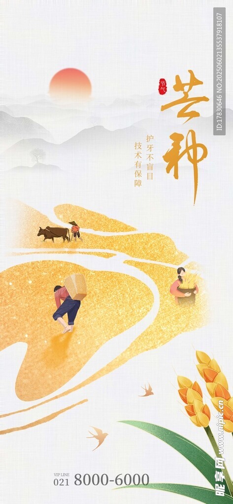 芒种海报