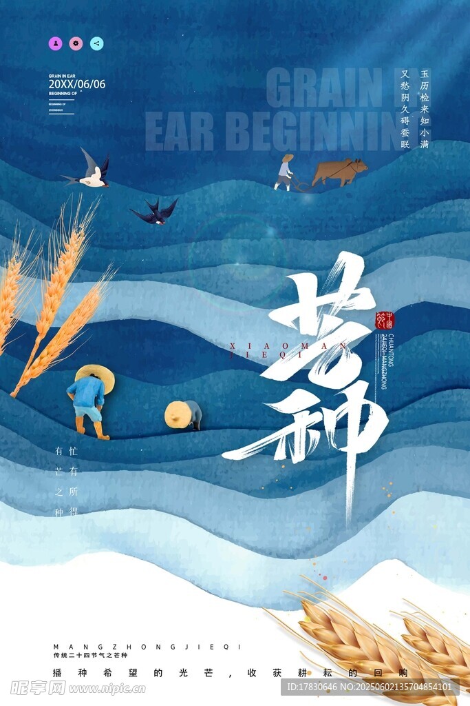 芒种海报