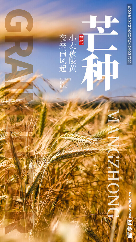 芒种海报
