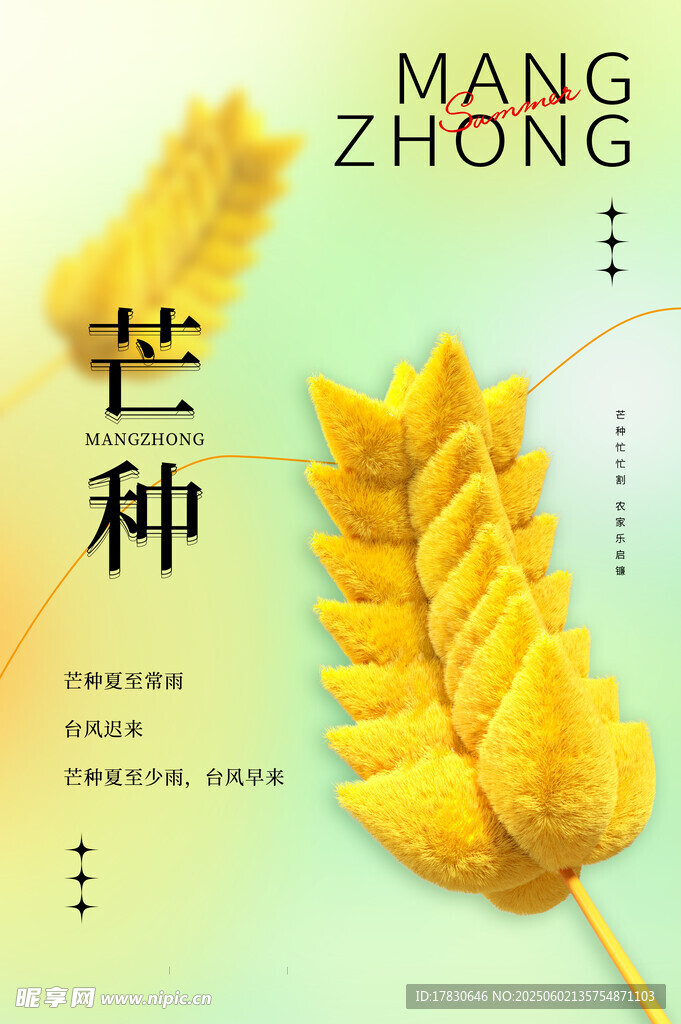 芒种海报